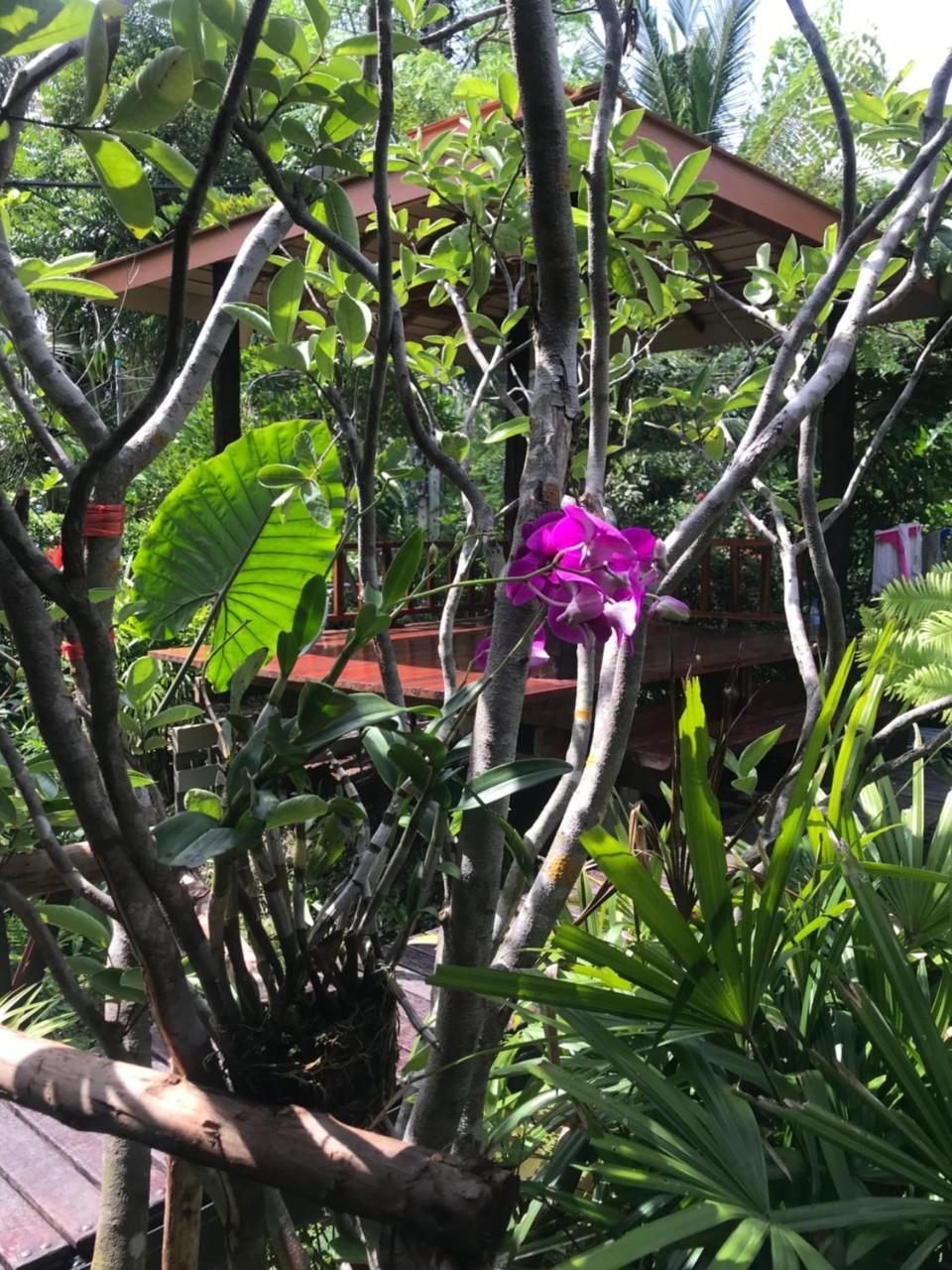 88 Homestay Bang Chak Екстериор снимка